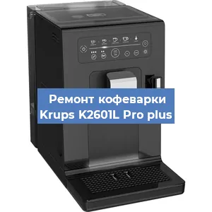 Чистка кофемашины Krups K2601L Pro plus от кофейных масел в Красноярске